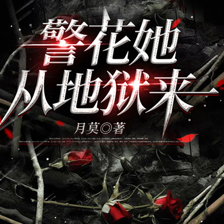 �������ӵ�����